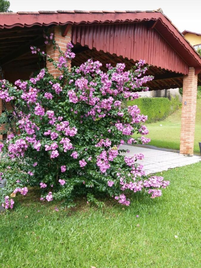 Casa Das Glicinias Perto Do Centro Villa Monte Verde  Eksteriør billede